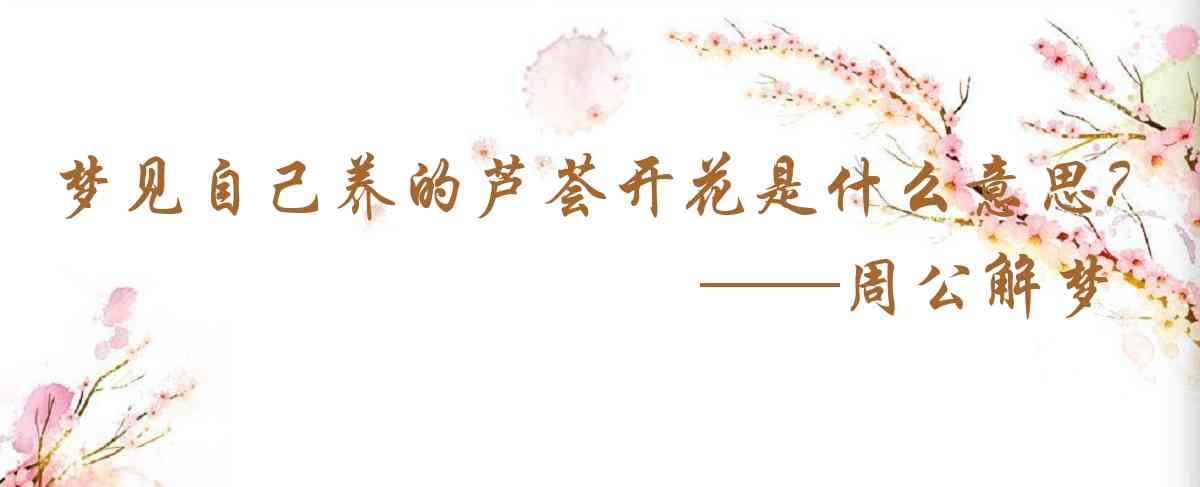 周公解夢,夢見自己養的蘆薈開花是什麼意思，夢到自己養的蘆薈開花好不好