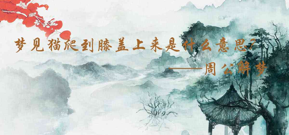 周公解夢,夢見貓爬到膝蓋上來是什麼意思，夢到貓爬到膝蓋上來好不好