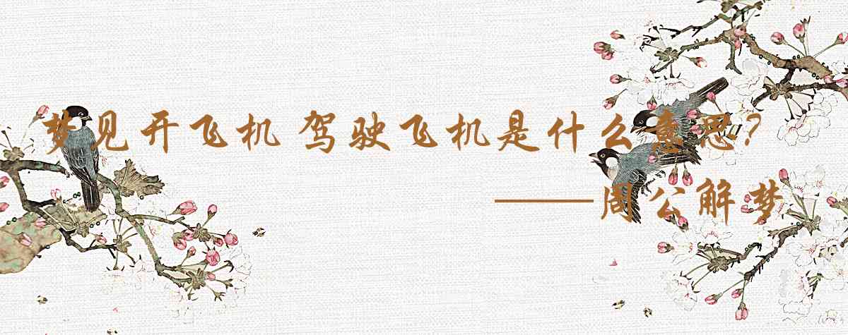 周公解夢,夢見開飛機 駕駛飛機是什麼意思，夢到開飛機 駕駛飛機好不好